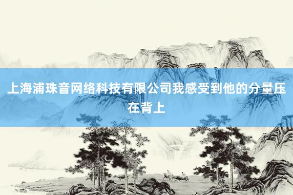 上海浦珠音网络科技有限公司我感受到他的分量压在背上